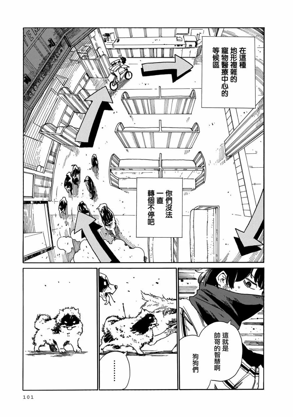 第5页
