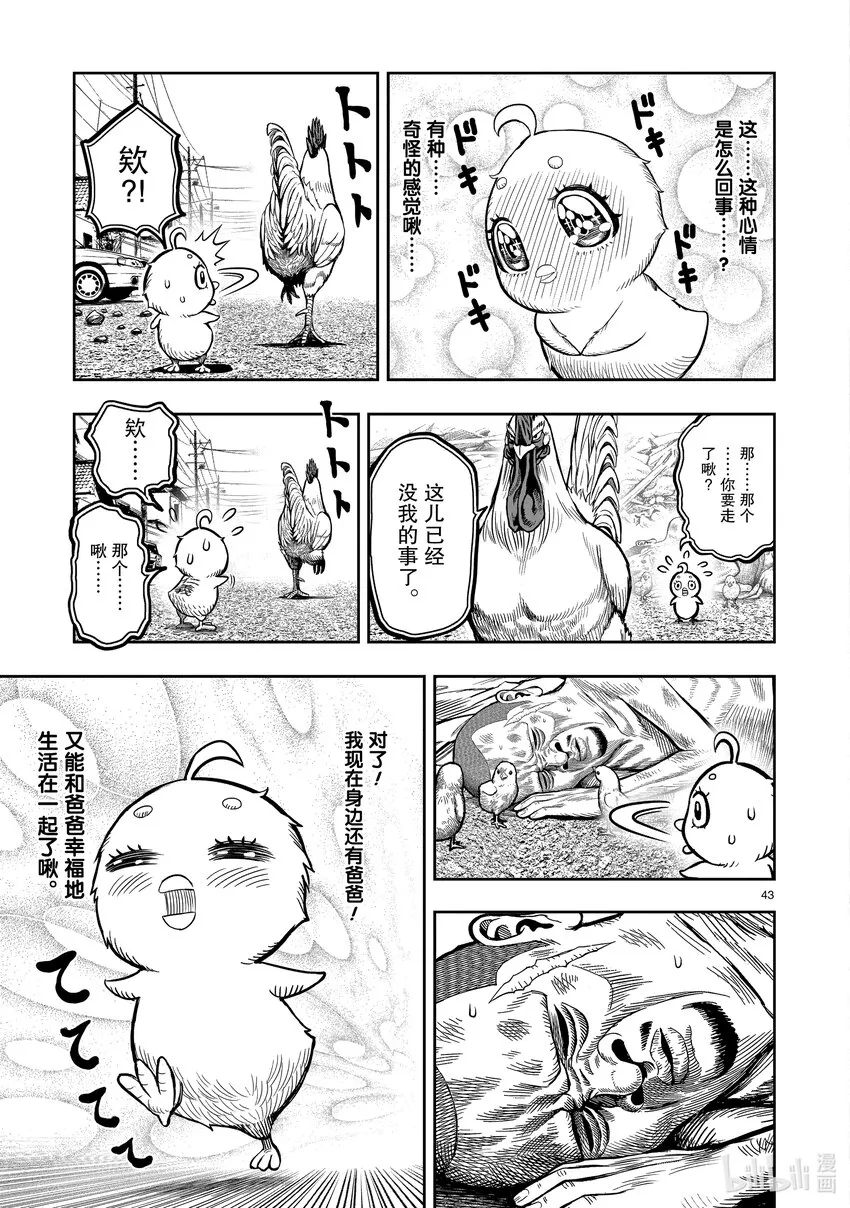第43页