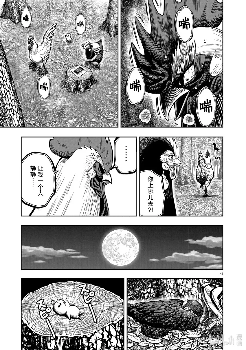 第41页