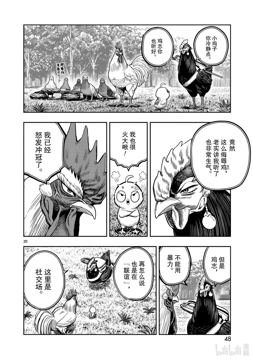 第20页