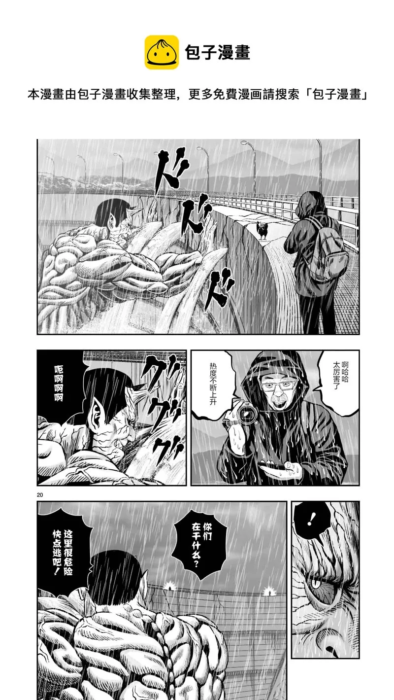 第20页
