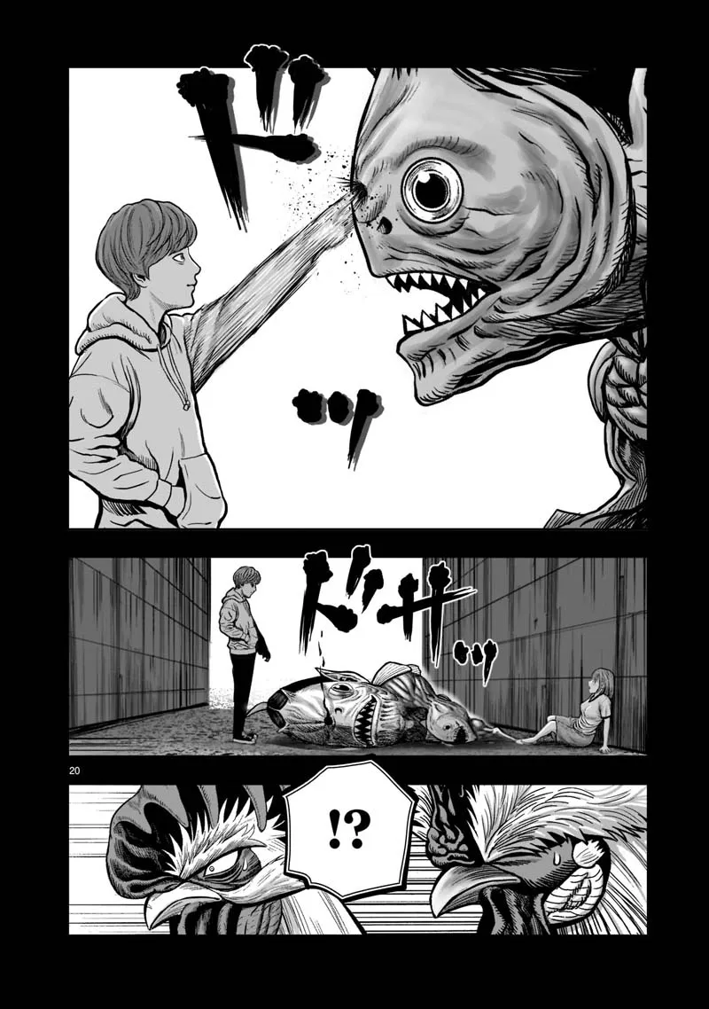 第20页