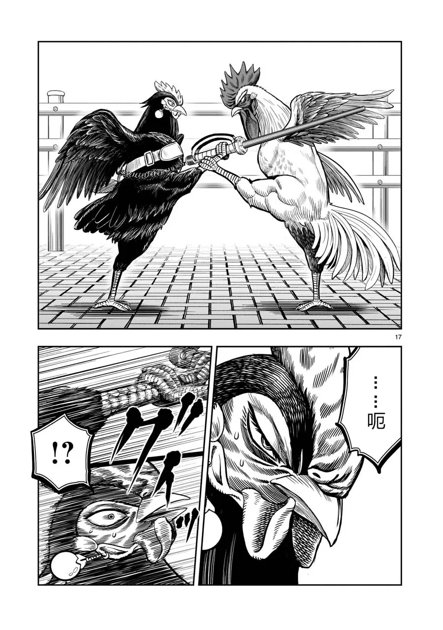 第17页