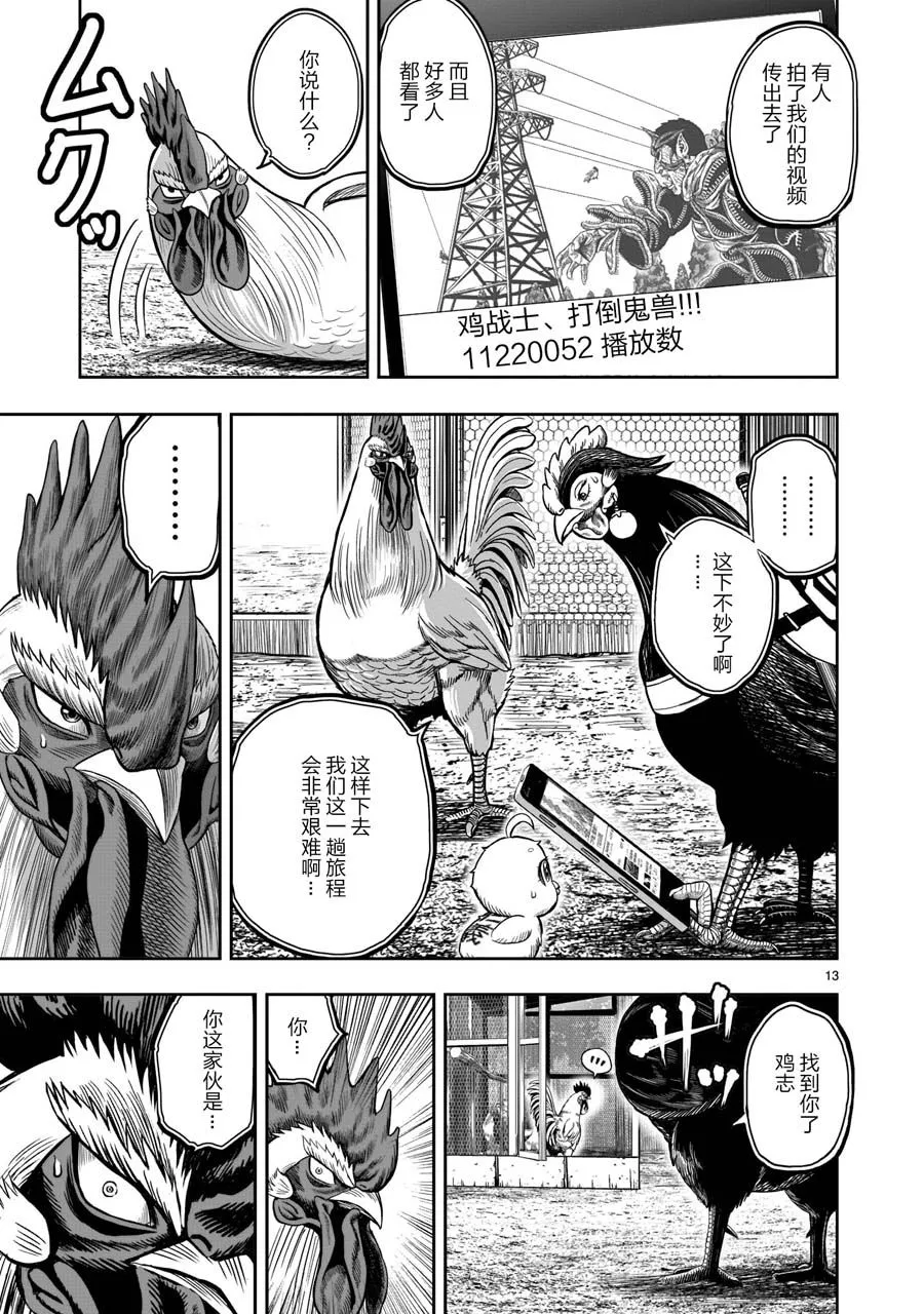 第13页