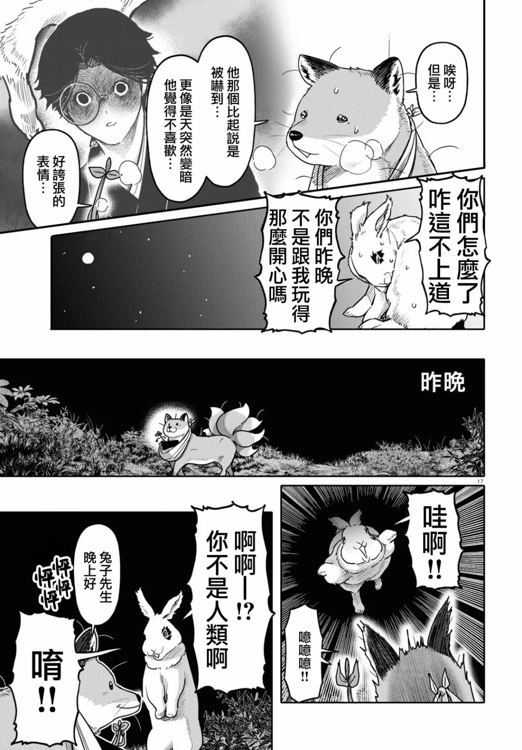 第17页
