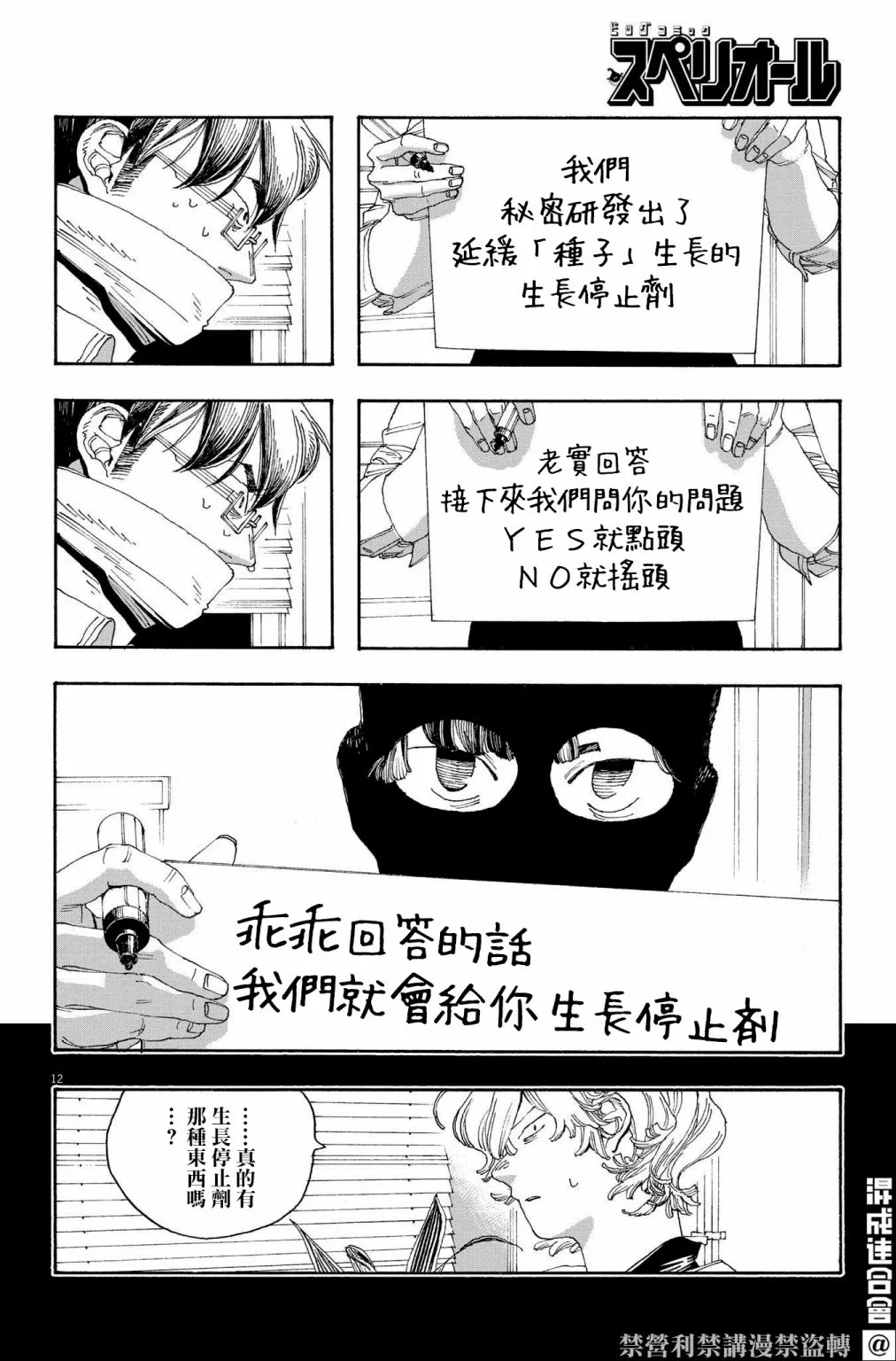 第12页