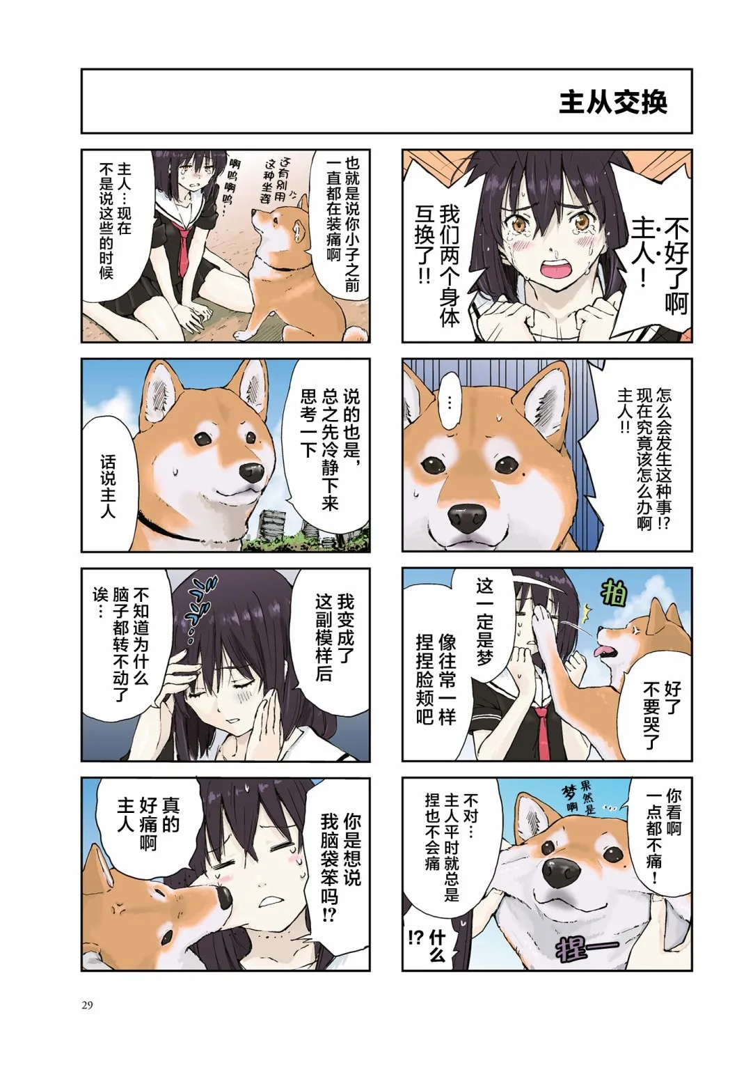 第5页