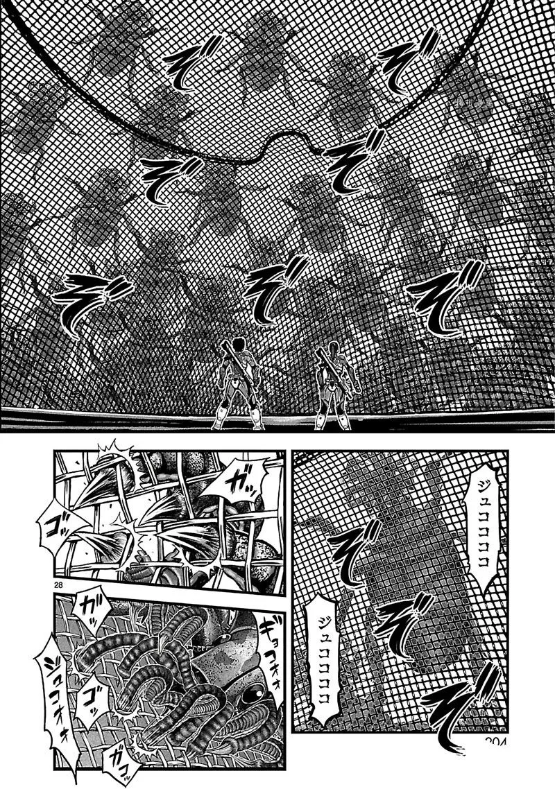 第28页