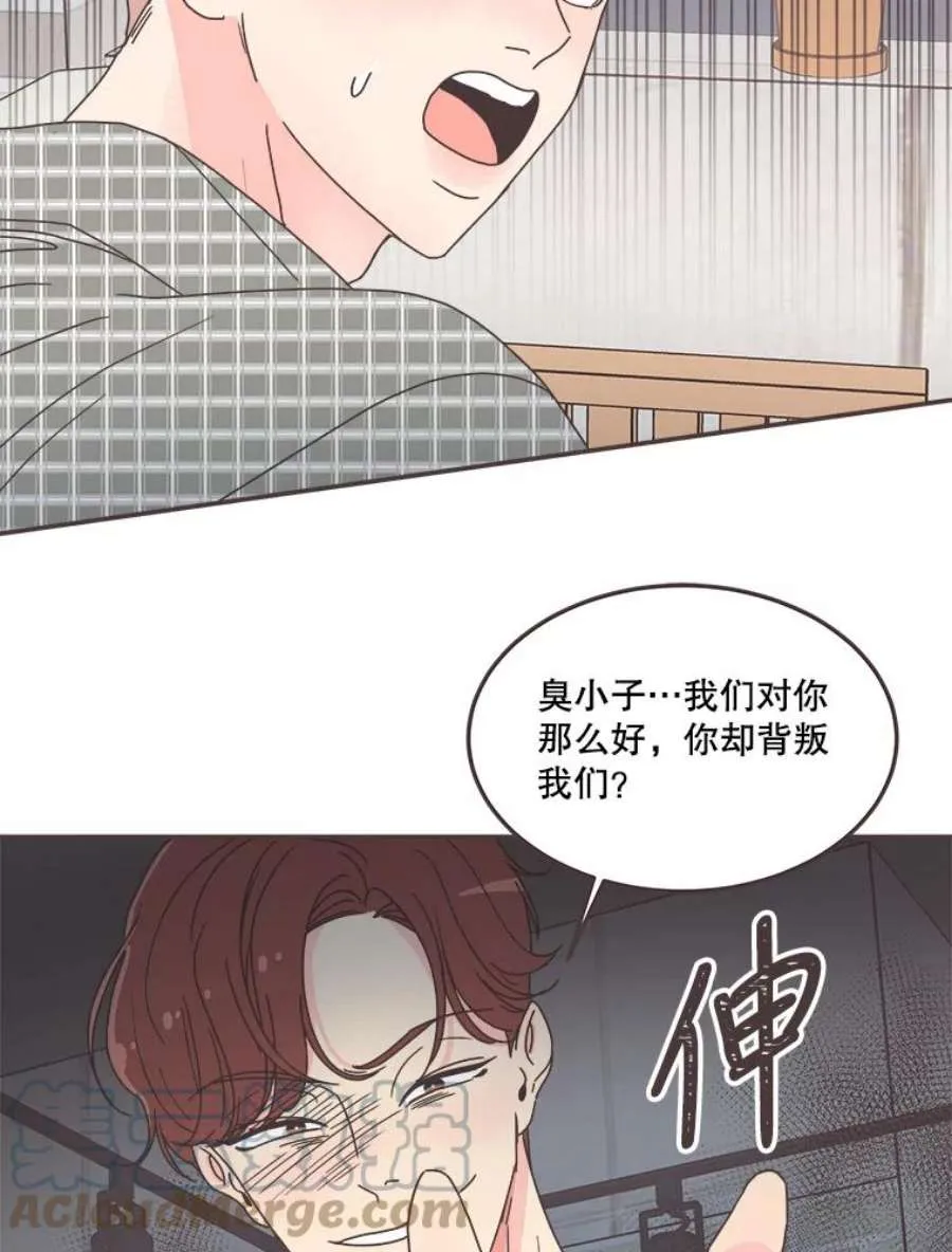 第194页