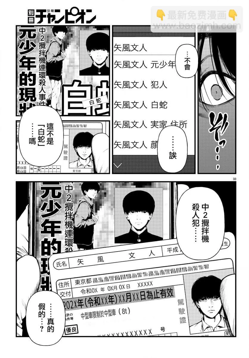 第33页