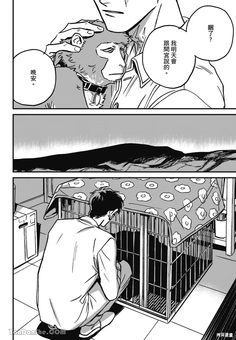 第37页