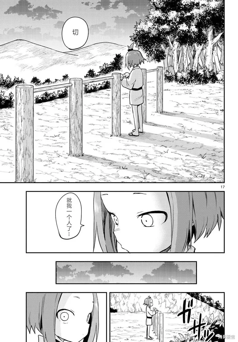 第17页