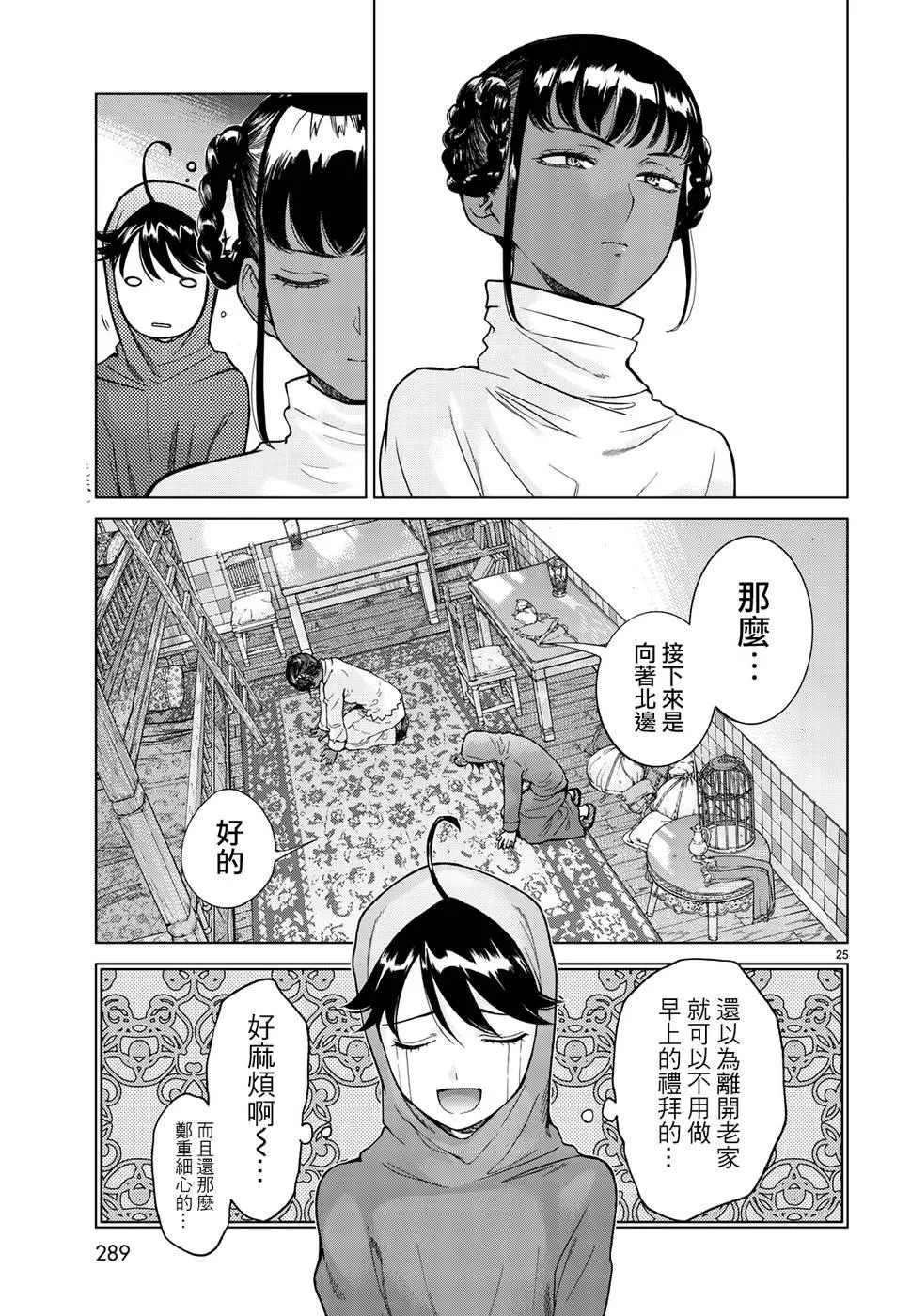 第25页