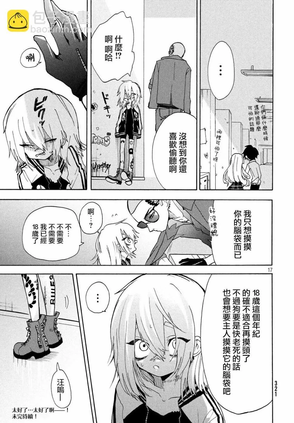 第17页