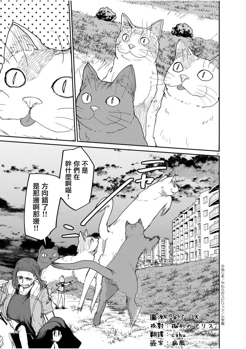 第11页