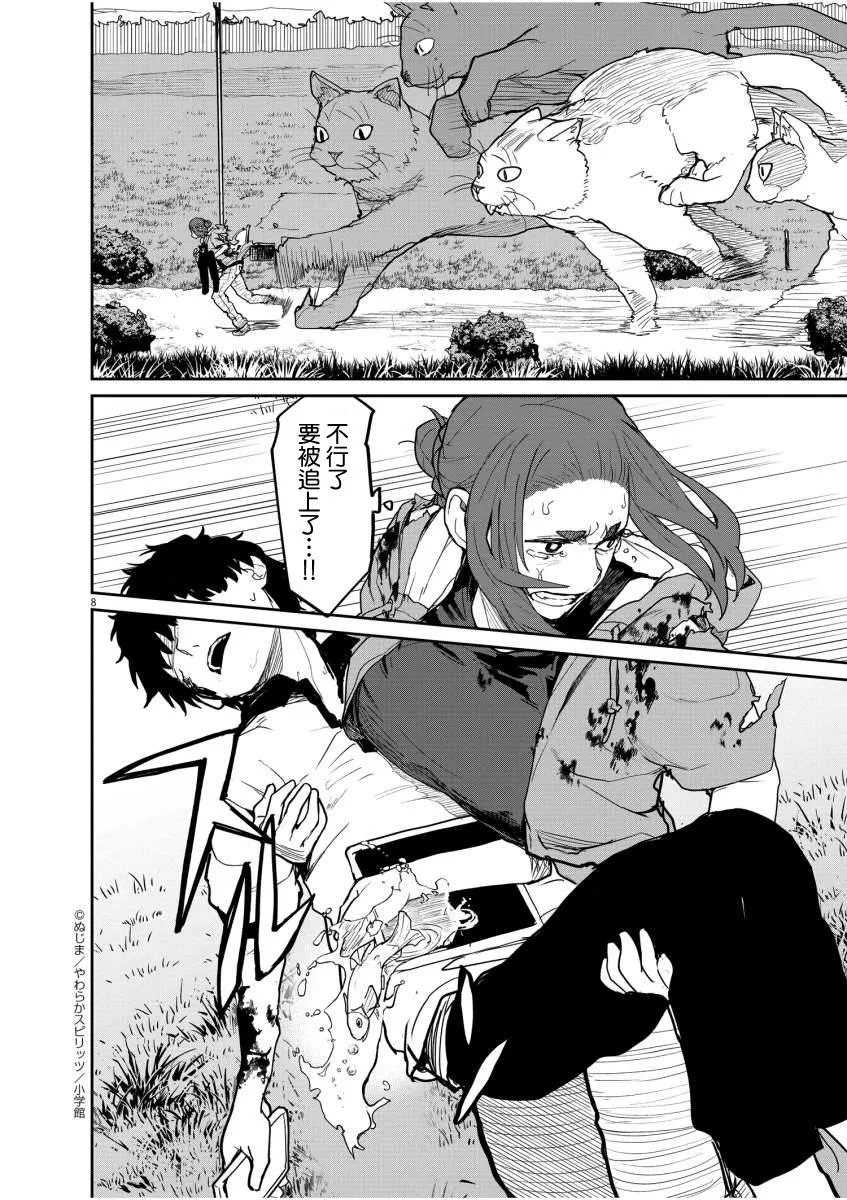 第8页