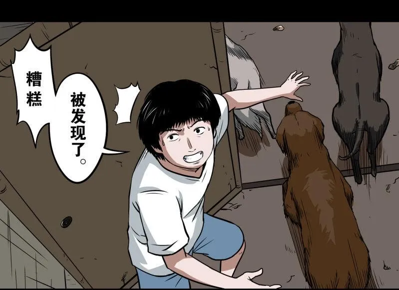 第48页