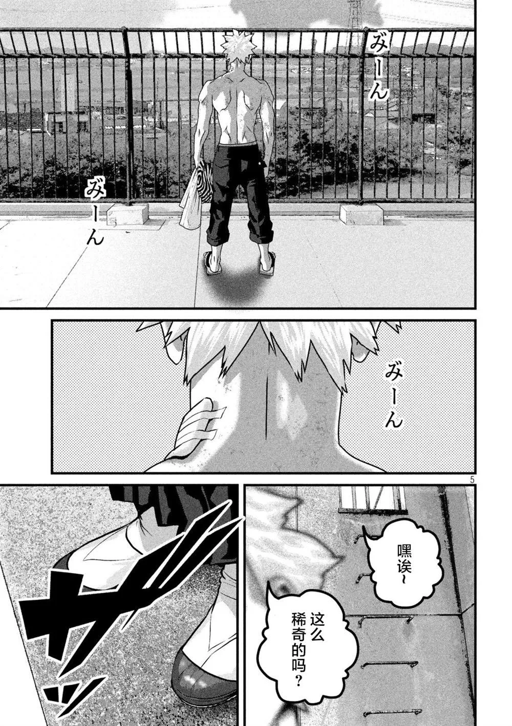 第5页