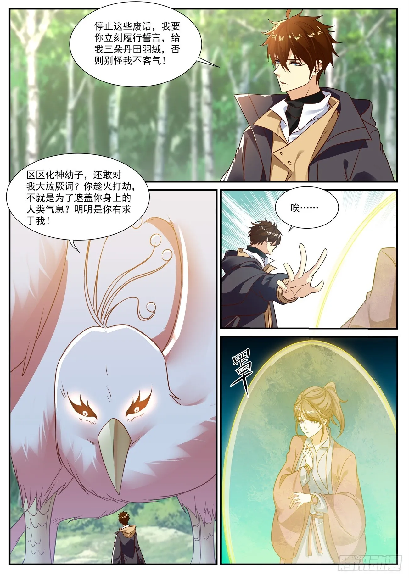 第3页