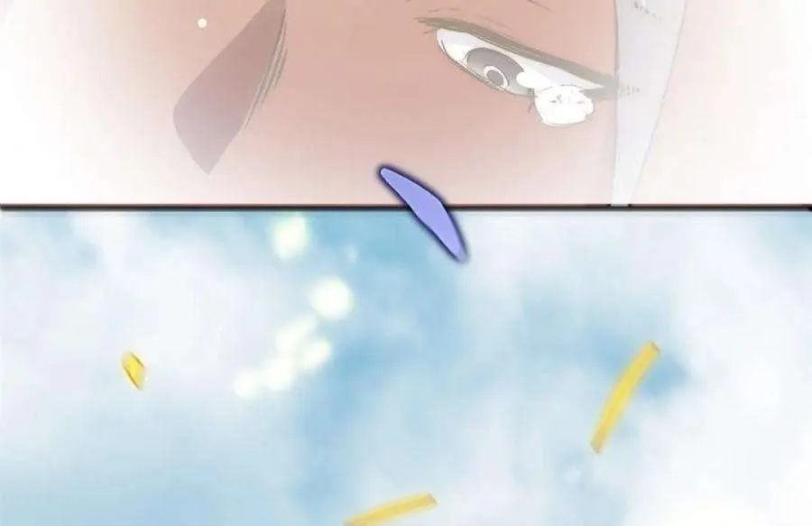 第251页