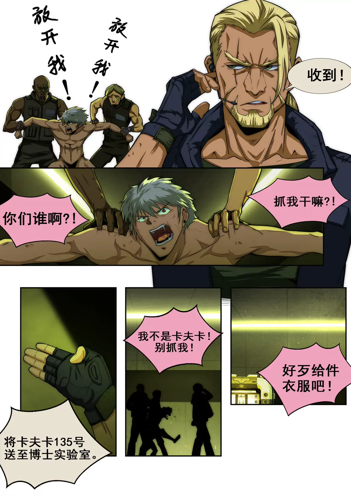 第3页