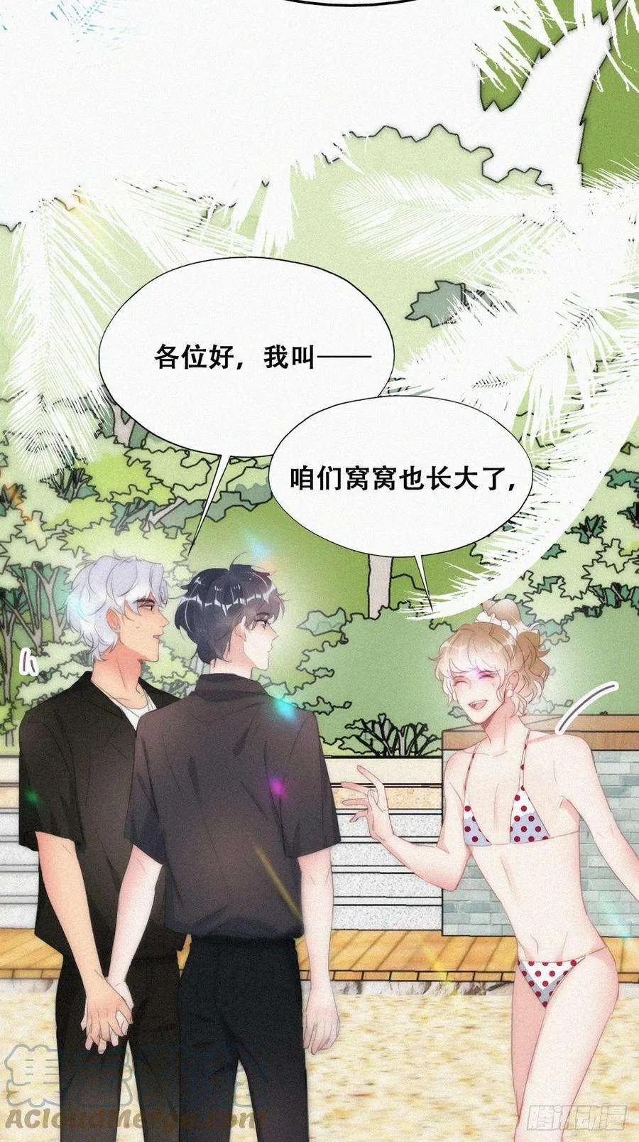 第31页