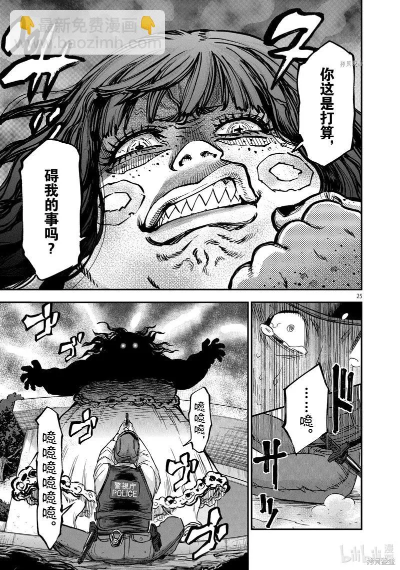 第25页