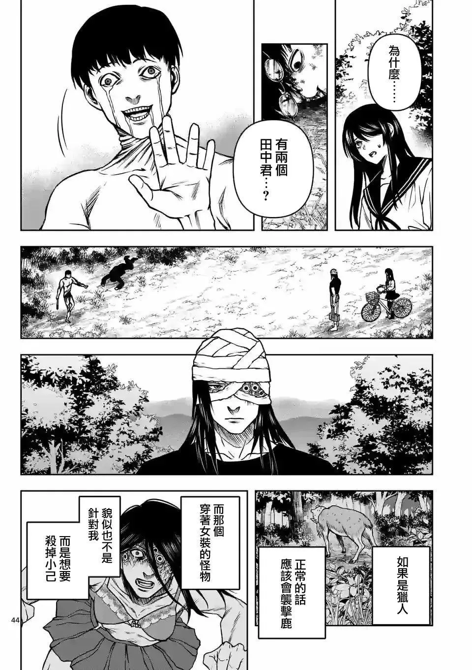 第45页