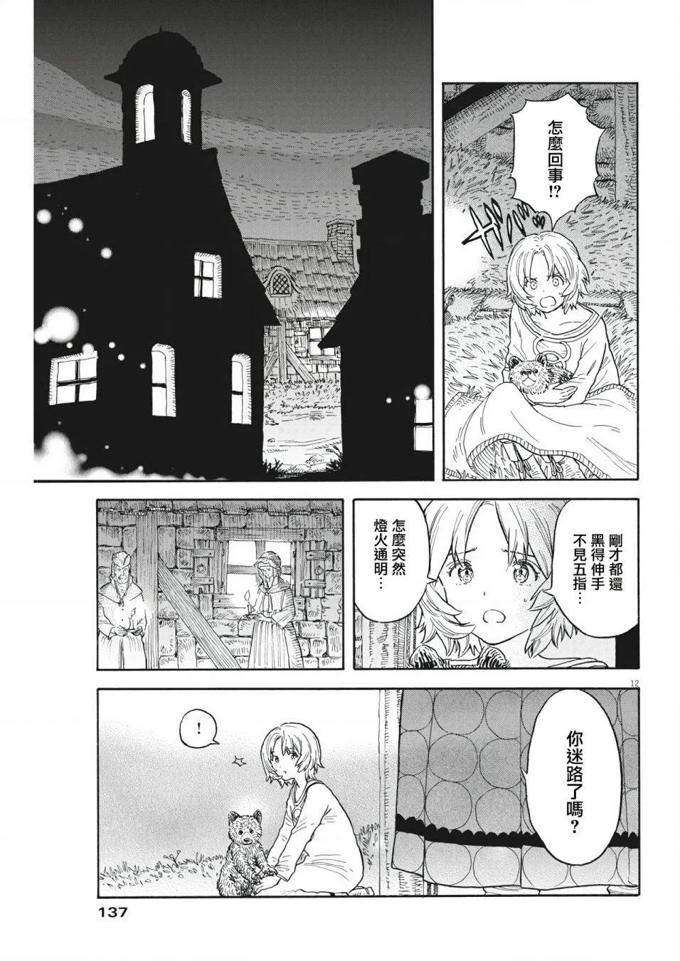 第12页