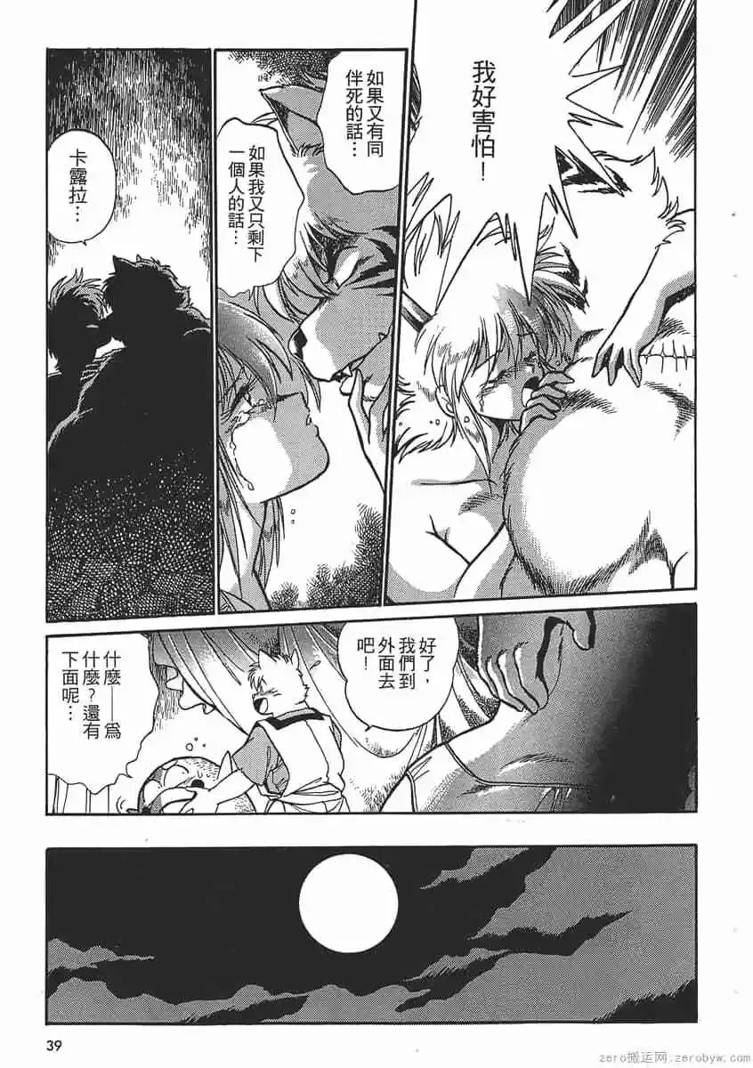 第41页