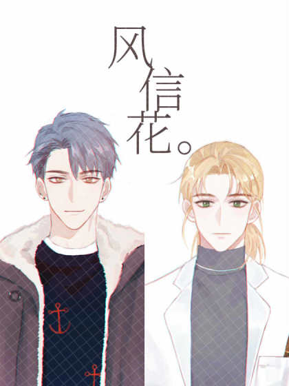 风信花