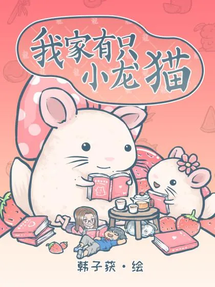 我家有只小龙猫