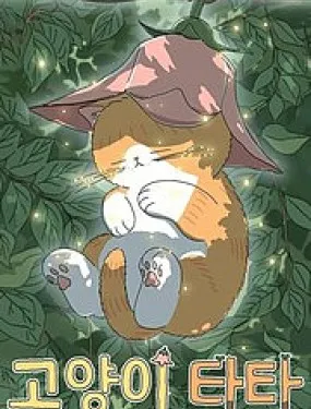 小猫塔塔