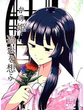 那位公主过去所想