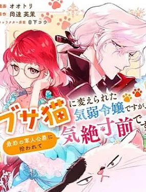 软弱千金变笨猫