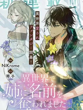 在异世界被姊姊抢走名字了