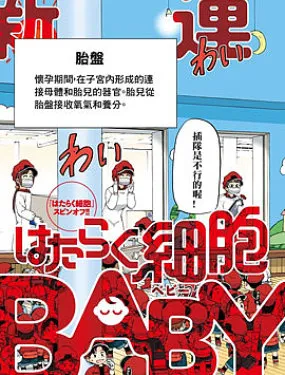 工作细胞BABY