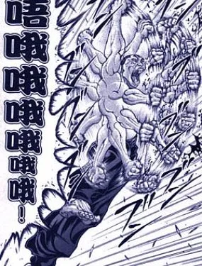 烈海王似乎打算在幻想乡挑战强者们的样子