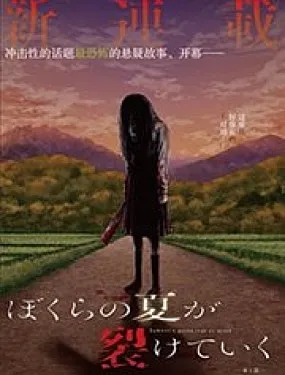 我们被撕裂的夏天