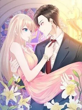 总裁大人的双面娇妻