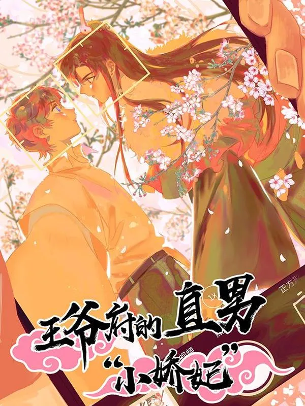 王爷府的直男小娇妃