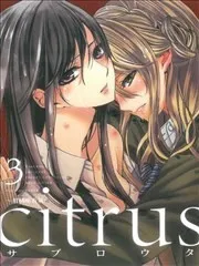 citrus 柑橘味香气