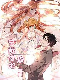 总裁爹地追上门