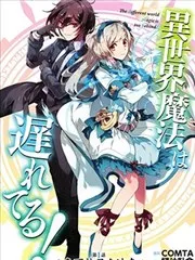 异世界的魔法太落后了