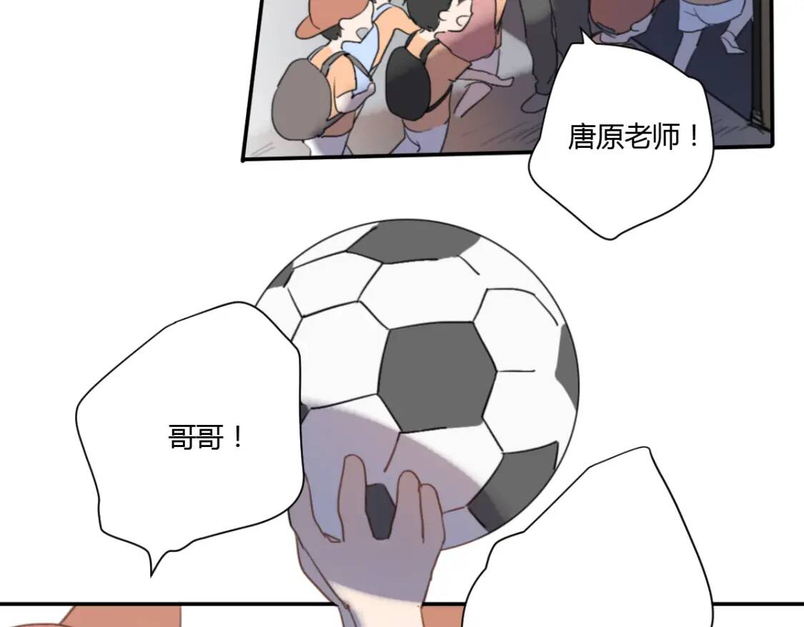 第204页
