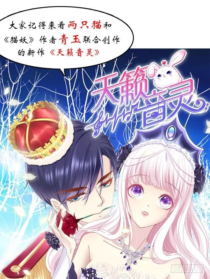 第255页