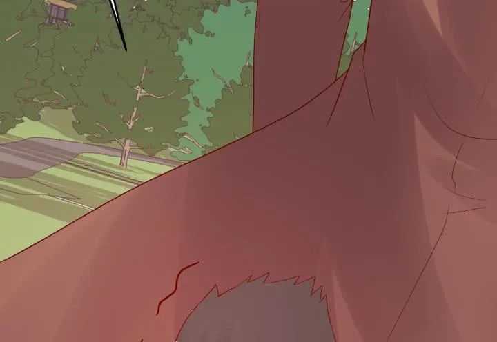 第204页