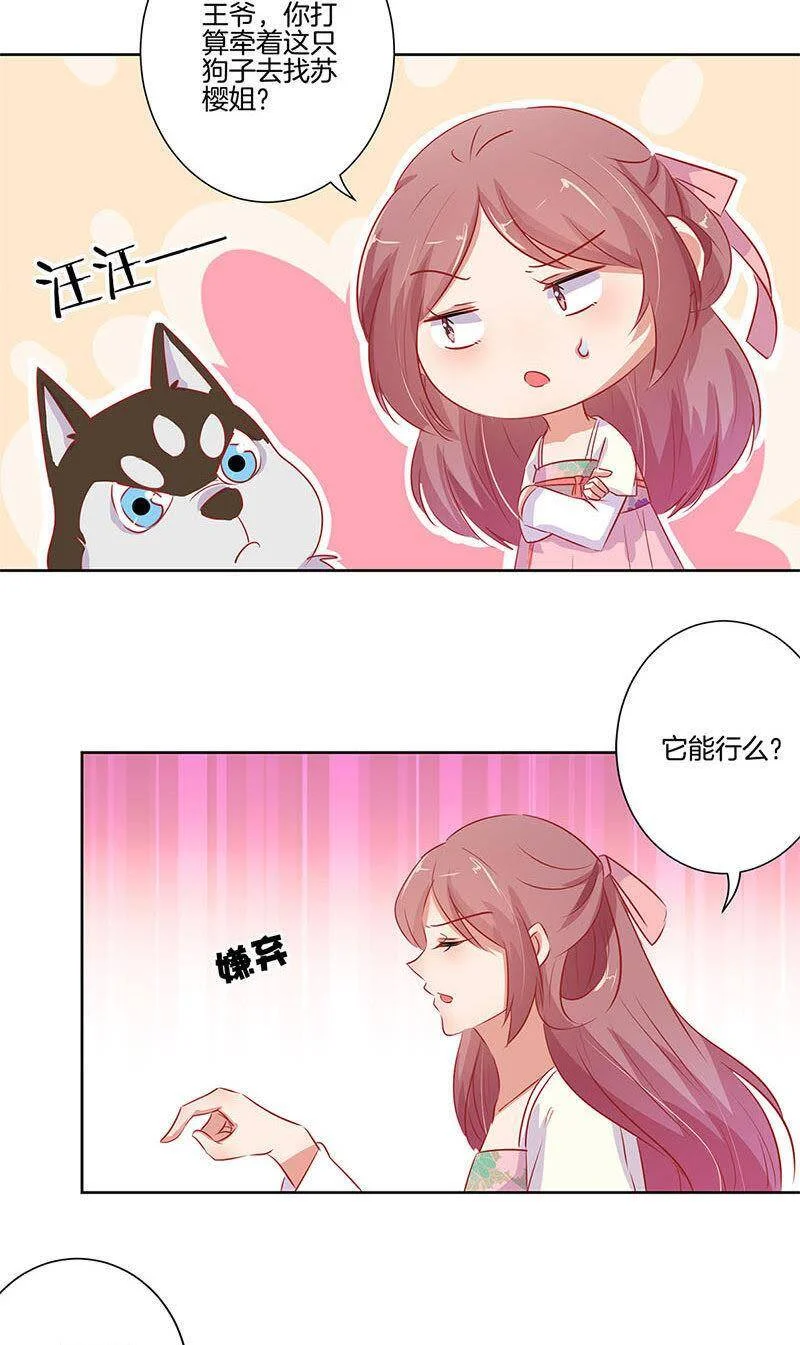 第51页