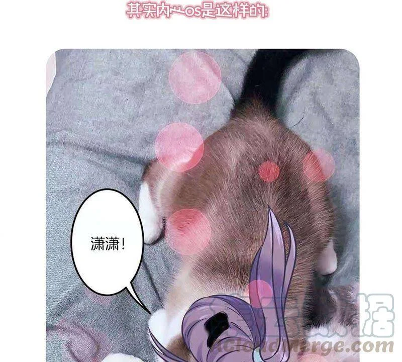 第186页