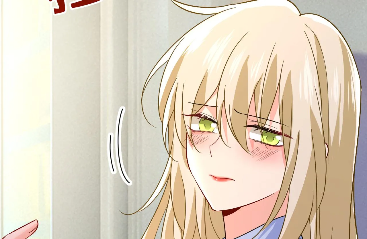 第204页